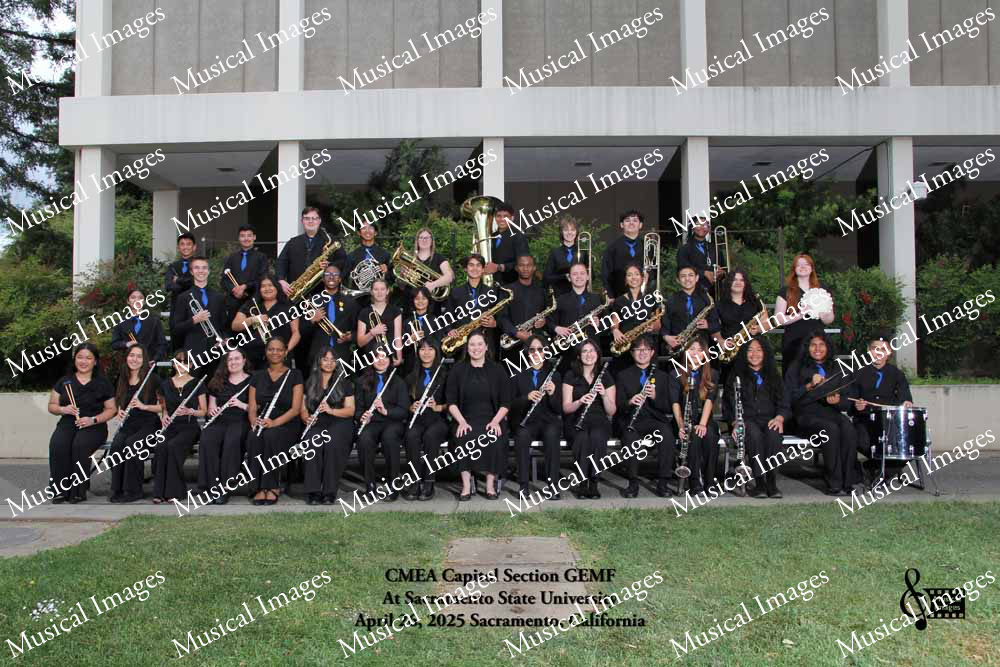 Musical Images